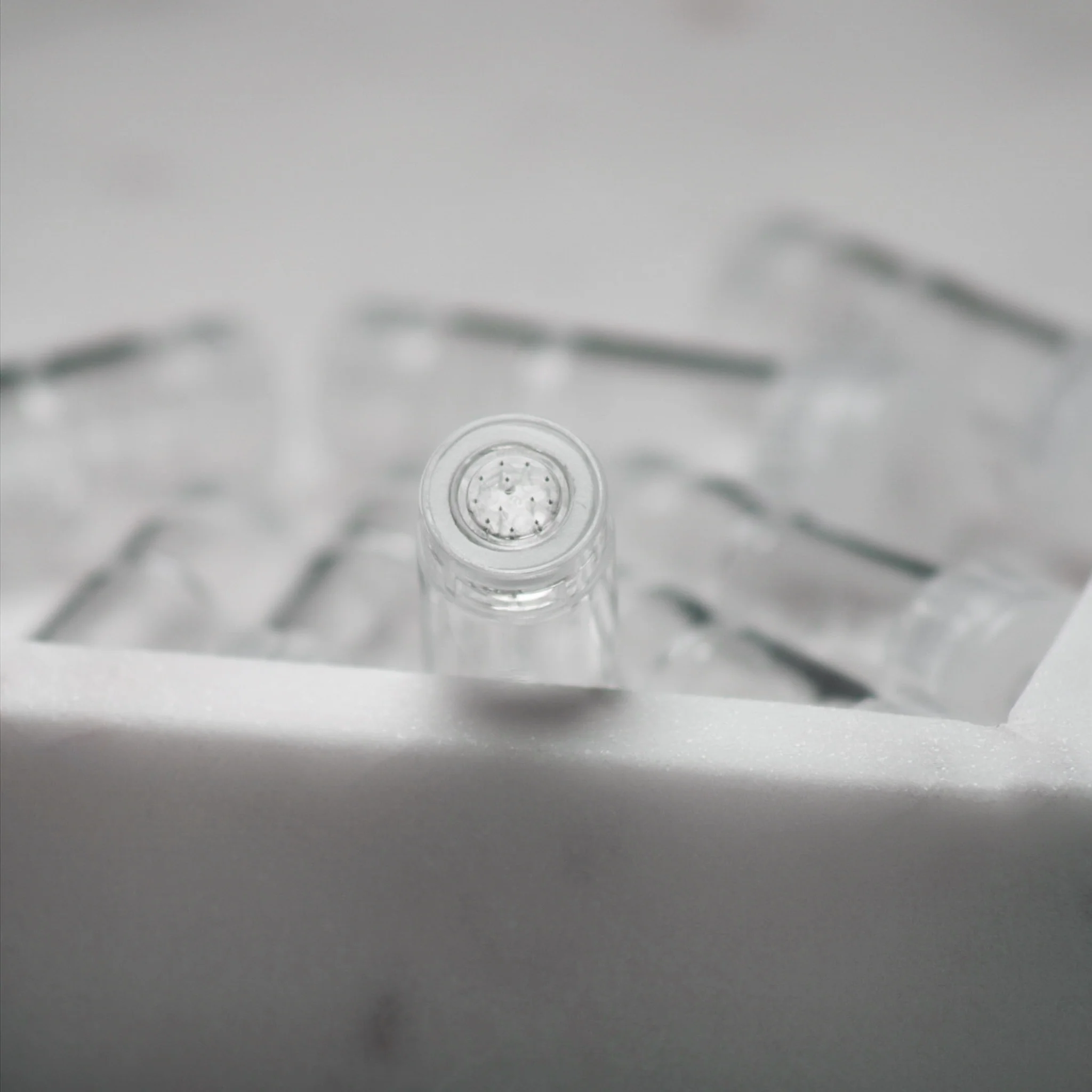 Lonvitalite Skinprove Pen 10 Replacement Cartridges - Image 2